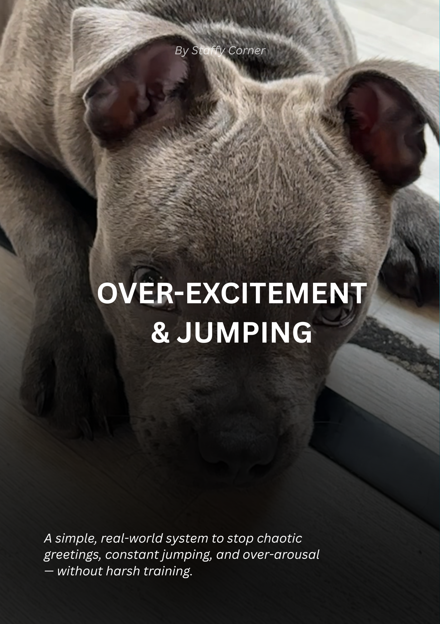 Over-Excitement & Jumping Guide