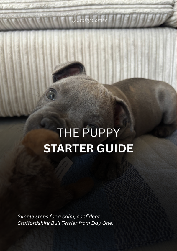 The Puppy Starter Guide – Build Calm Behaviour From Day One